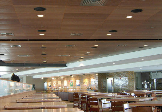 Commercial Distributed Audio Solutions | Cleveland & Northeast Ohio ...