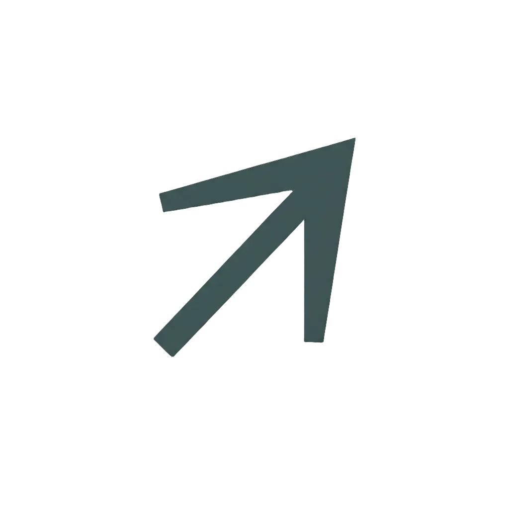 Icon showing direction